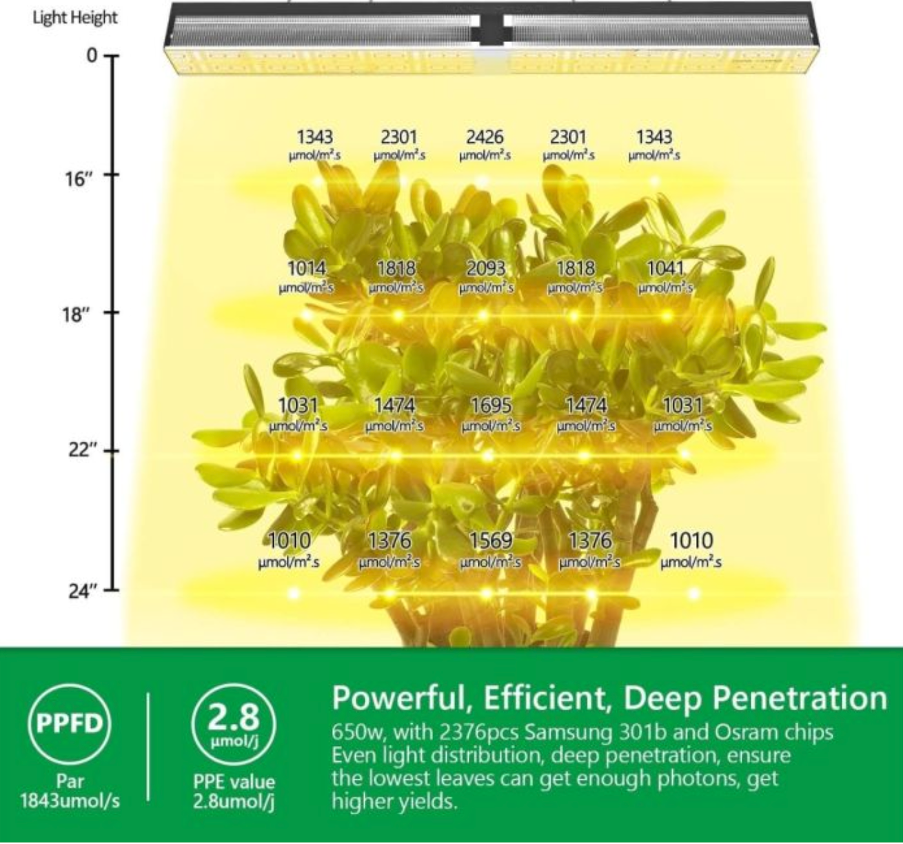 SP 6500 SAMSUNG LM301B 650W GREENHOUSE LED GROW LIGHT