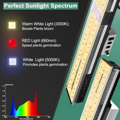 SP 3000 SAMSUNG LM301B OSRAM 300W LED GROW LIGHT