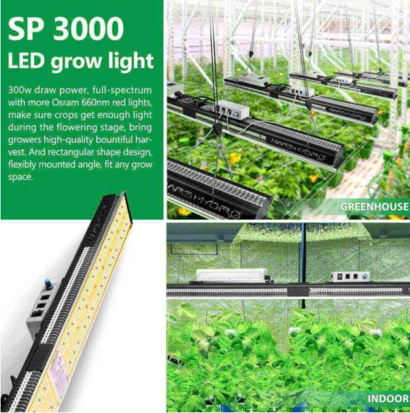 SP 3000 SAMSUNG LM301B OSRAM 300W LED GROW LIGHT