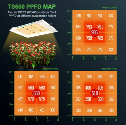 TS 600 FULL SPECTRUM 100W LED GROW LIGHT