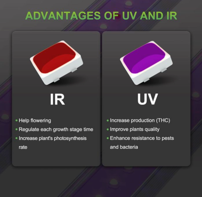 UR45 LED GROW LIGHT FOR UV & IR SUPPLEMENT